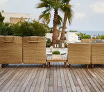 Cane-line Arch coffee table w/teak table top